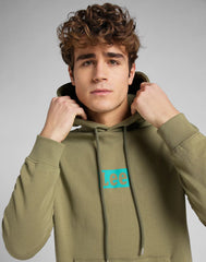 LEE TOPS' EM ALL HOODIE MĘSKA BLUZA Z KAPTUREM BRINDLE GREEN L83RSPUA